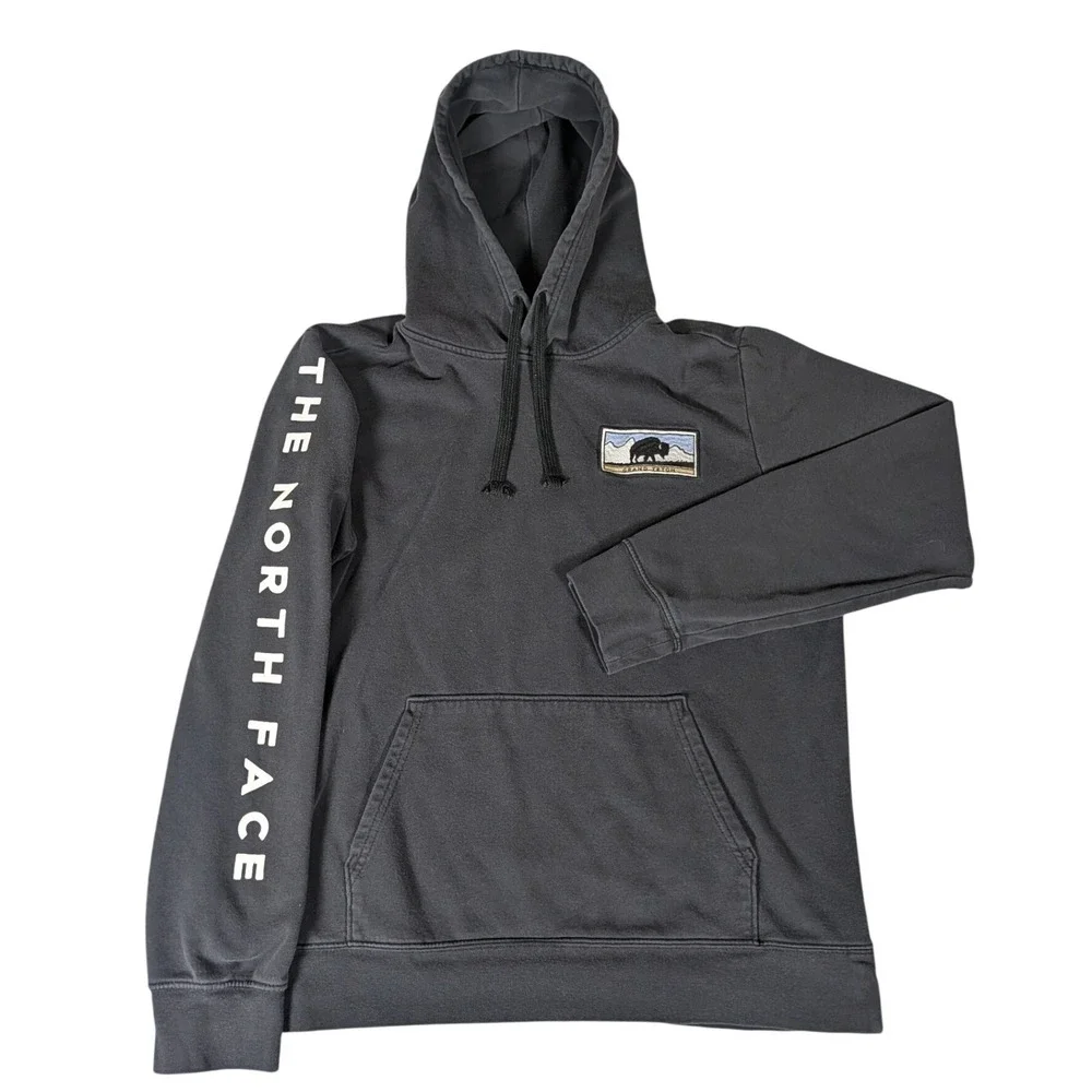 The North Face Mens Grand Teton Bison Hoodie Black Sleeve Logo Pullover NF0A4M4M